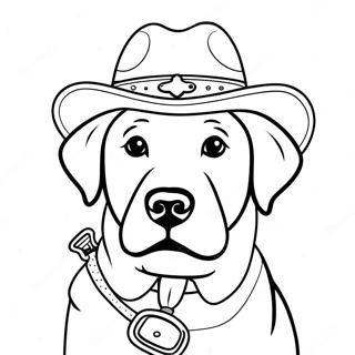 Leikkisa Sheriffi Labrador Hattu Paassa Varityskuva 101680-40107