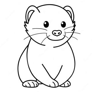 Ferret Varittamissivu 103145-41234