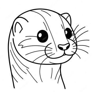 Ferret Varittamissivu 103145-41235
