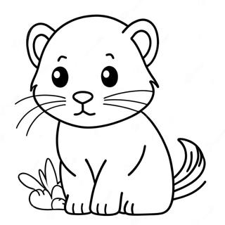 Ferret Varittamissivu 103145-41236