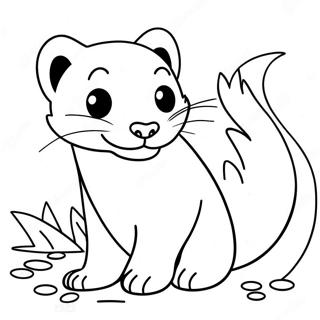 Leikkisa Ferret Varittamissivu 103146-41237