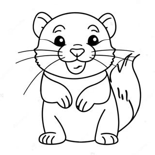 Leikkisa Ferret Varittamissivu 103146-41238
