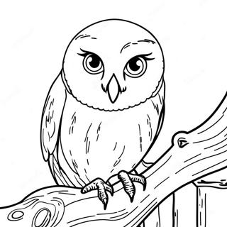 Hedwig Varittamissivu 105871-43367