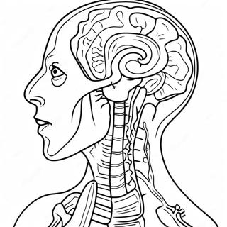 Anatomia Ja Fysiologia Värityskuvat