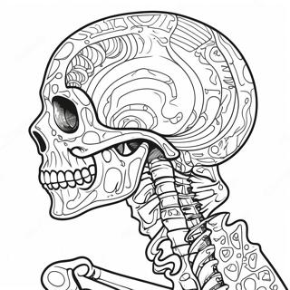 Yksityiskohtainen Ihmisen Luuranko Varityskuva 107436-44595