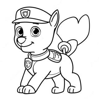 Seikkailullinen Zuma Paw Patrol Varityskuva 107512-44656