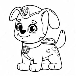 Sopo Zuma Paw Patrol Varityskuva 107513-44657