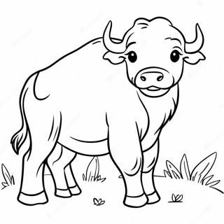 Bisonin Vasikka Leikkimassa Varityskuva 107642-44761