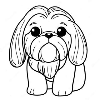 Shih Tzu Värityskuvat