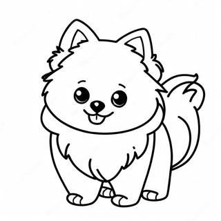 Pomeranian Varityskuva 118573-53723