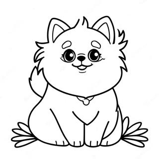 Sopo Pomeranian Pentu Varityskuva 118574-53726