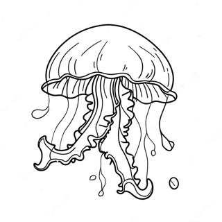 Majesteettinen Meduusa Liitaa Vedessa Varityskuva 28951 6304