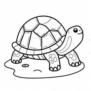 Sarjakuvakilpikonna Rannalla Varityskuva 7846 2752