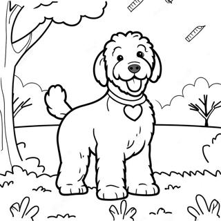 Porroinen Goldendoodle Puistossa Varittamissivu 85519-26456