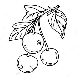 Kirsikat Oksalla Varitettava Sivu 87547 28038