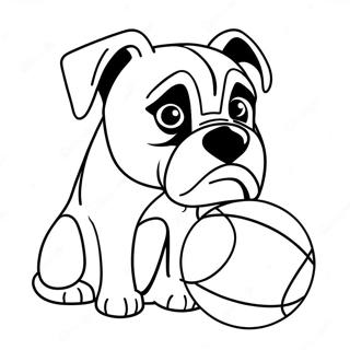 Boxerikoira Pallon Kanssa Varittamissivu 89707-29891