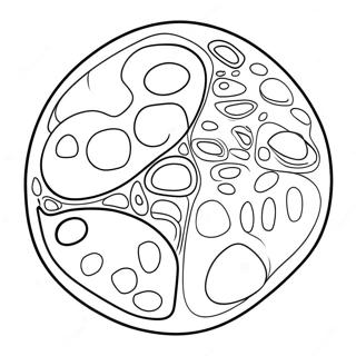 Realistinen Kasvisolu Varityskuva 92198 31897