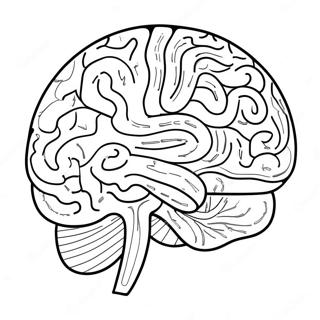 Luova Aivotoiminta Varittamiseen 94307 33525